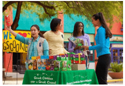 Girl Scouts Case Study